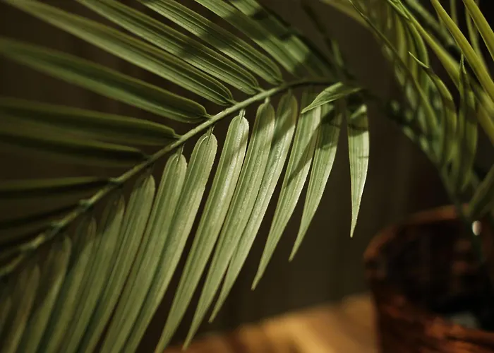 The Square فندق فرانكفورت